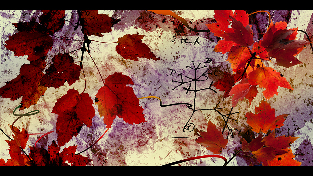 Darwin's Branches