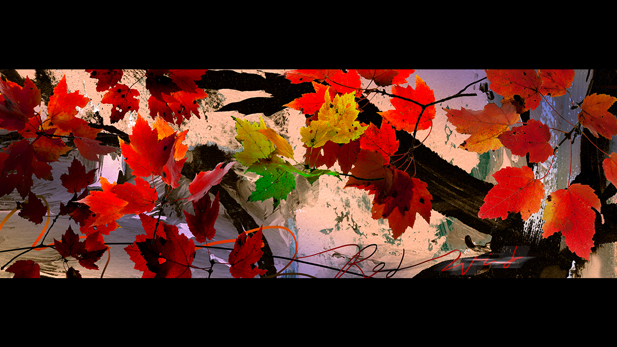 Red Wind