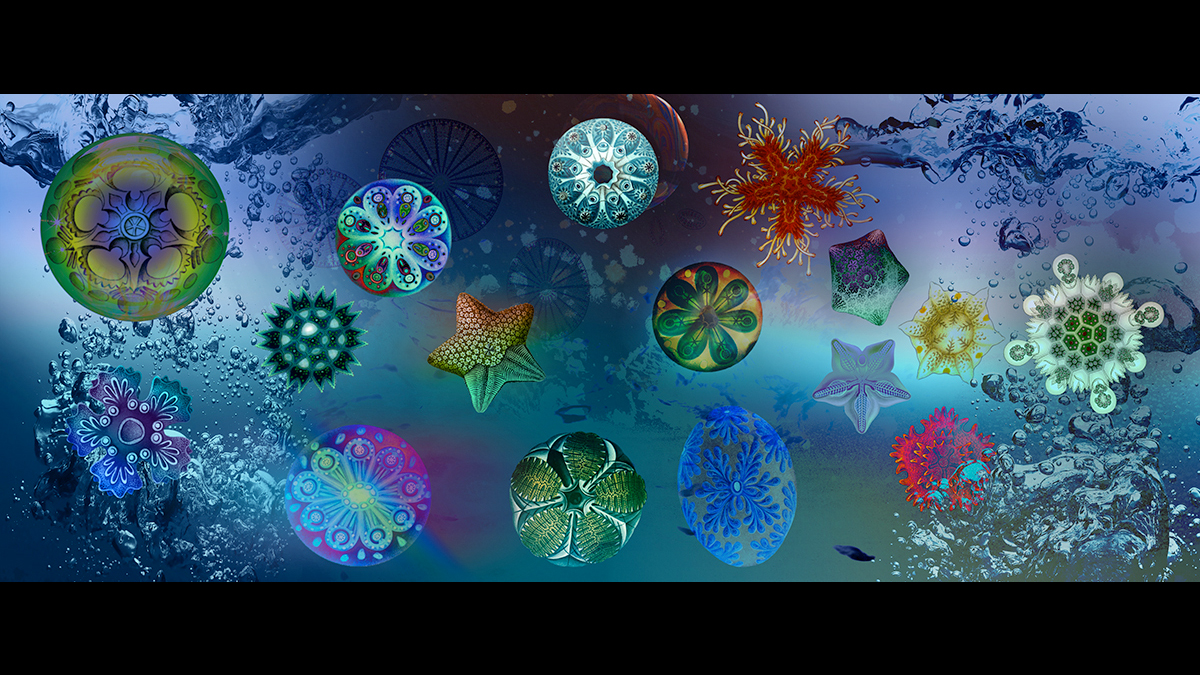 Sea of Life
