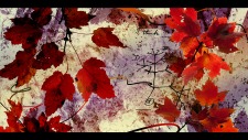 Darwin's Branches